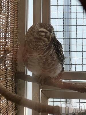 Ĺ��ʥå��������륺�С����פꥹ�ʥå�����ä��礤(���ޥĥꥹ�ʥå�����å��祤) ���椫(29)��4��12���̥�֥����֤��褤�躣���ϡ���