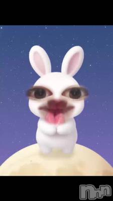 �������12Ϣȯ