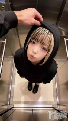 ����­����