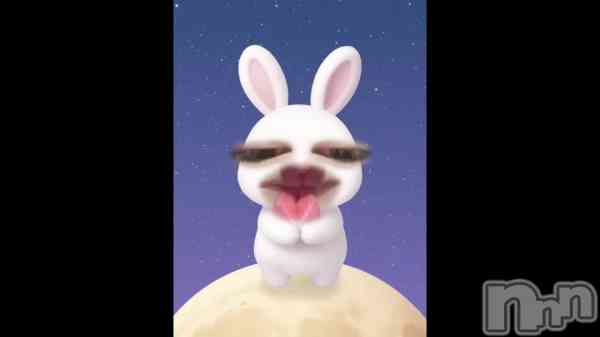 �֤������12Ϣȯ��