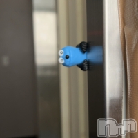 ���פꥹ�ʥå�����ä��礤