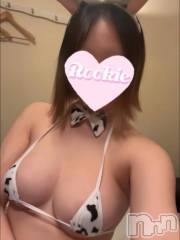 長岡デリヘルROOKIE(ルーキー) かほ☆地元新潟美女(23)の7月23日写メブログ「はじめまして🧡」