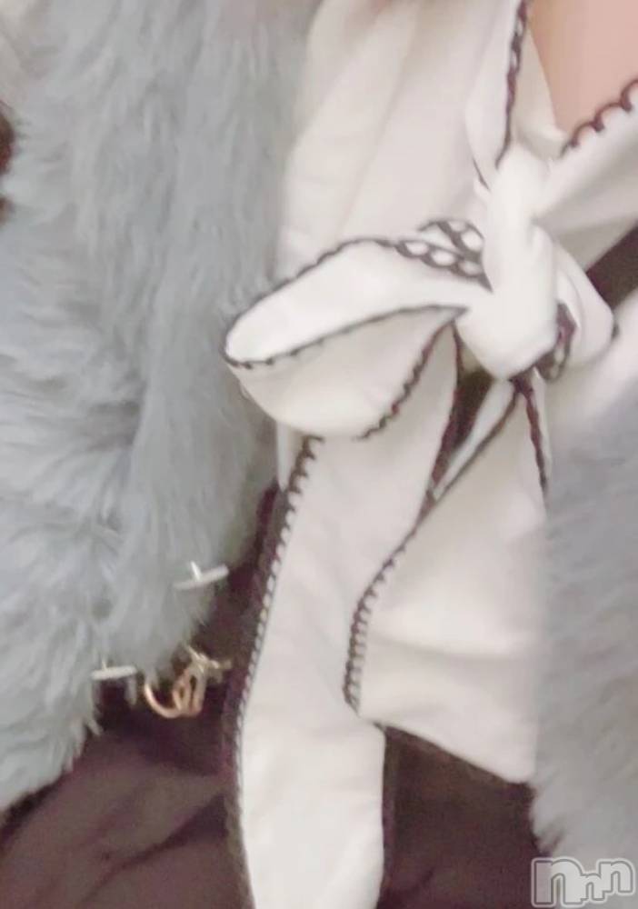 Ĺ襳ѥ˥󥯥Ĺѥ˥-Daisy- ǥ (Ĺȯ 㸩)(ʥѥ˥ǥ) ޤ117̥֥11Ǥ🍂