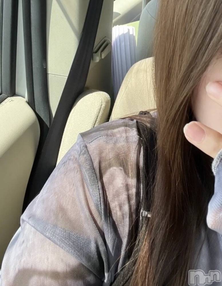 Ĺ�����������襳��ѥ˥��󥯥��Ĺ������ѥ˥���-Daisy- �ǥ����� (Ĺ����ȯ ���㸩����)(�ʥ���������ѥ˥���ǥ�����) �ޤ�������������������4��9���̥�֥����ֽդǤ���🌸��