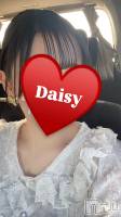 ޤ Ĺ襳ѥ˥󥯥 Ĺѥ˥-Daisy- ǥ (Ĺȯ 㸩)(ʥѥ˥ǥ)ҡ