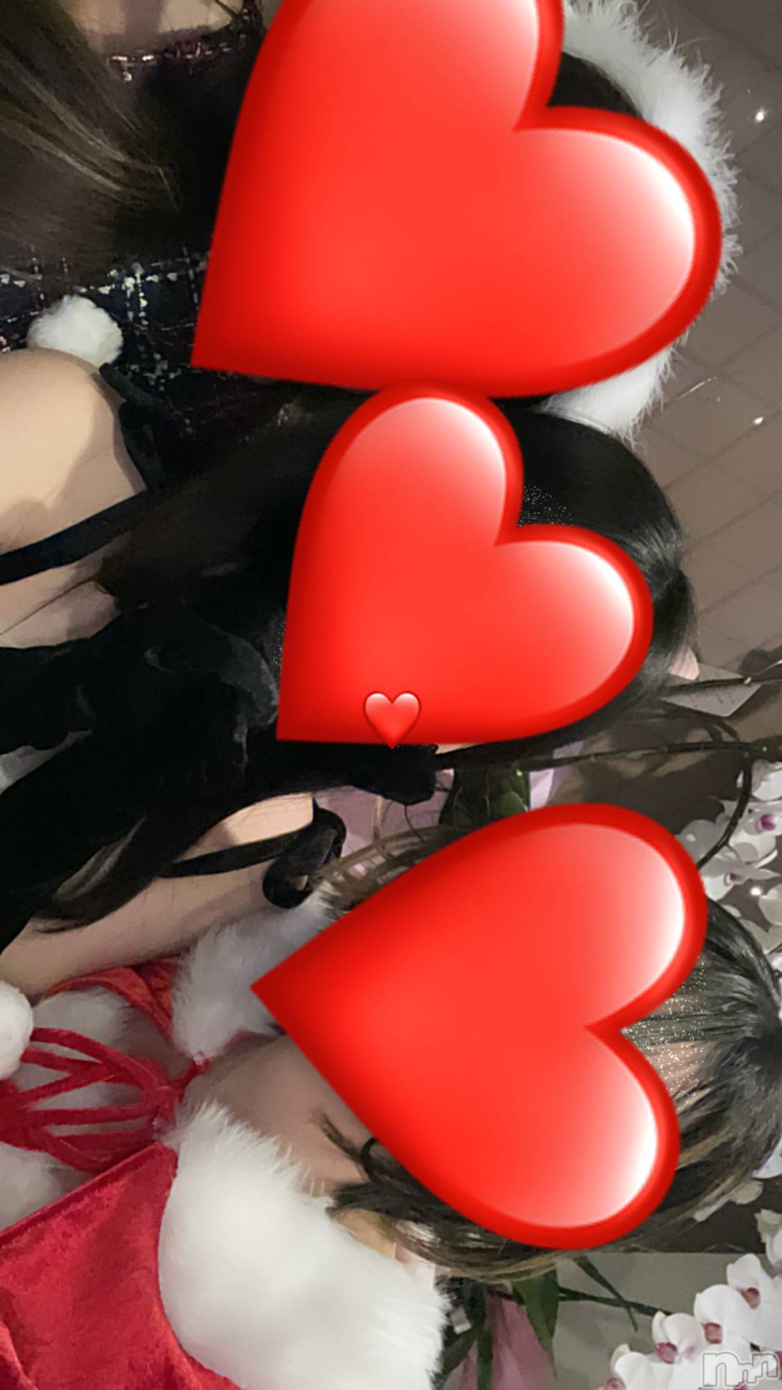 Ĺ�����������襳��ѥ˥��󥯥��Ĺ������ѥ˥���-Daisy- �ǥ����� (Ĺ����ȯ ���㸩����)(�ʥ���������ѥ˥���ǥ�����) ��2025ǯ12��24���̥�֥����֥��ꥹ�ޥ��Ǥ���🎄��