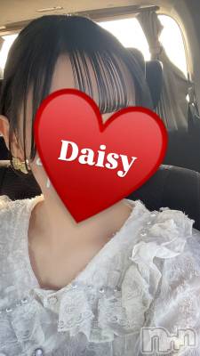 Ĺˤ륳ѥ˥󥯥֡Ĺѥ˥-Daisy- ǥ (Ĺȯ 㸩)(ʥѥ˥ǥ)פΥ㥹ȡ֤ޤפξҲ