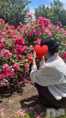 Ĺ襳ѥ˥󥯥Ĺѥ˥-Daisy- ǥ (Ĺȯ 㸩)(ʥѥ˥ǥ) ޤ(20)722̥֥֤Ϥޤơ