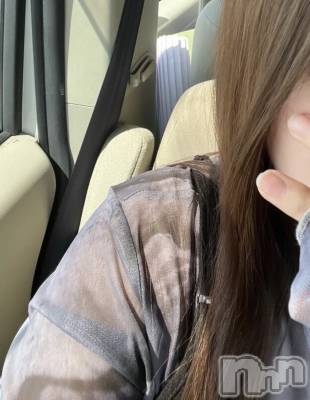 Ĺ�����������襳��ѥ˥��󥯥��Ĺ������ѥ˥���-Daisy- �ǥ����� (Ĺ����ȯ ���㸩����)(�ʥ���������ѥ˥���ǥ�����) �ޤ�����������������(20)��4��9���̥�֥����ֽդǤ���🌸��