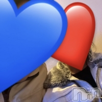 Ĺ������ѥ˥���-Daisy- �ǥ����� (Ĺ����ȯ ���㸩����)