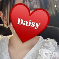 �ޤ�����������������(20) ��Ĺ160cm��Ĺ�����������襳��ѥ˥��󥯥�� Ĺ������ѥ˥���-Daisy- �ǥ����� (Ĺ����ȯ ���㸩����)(�ʥ���������ѥ˥���ǥ�����)���ҡ�