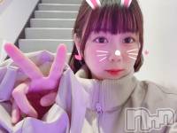 ʥå륺СLAPLUS(ץ饹) ߤ(20)1112̥֥֤ɤʹ