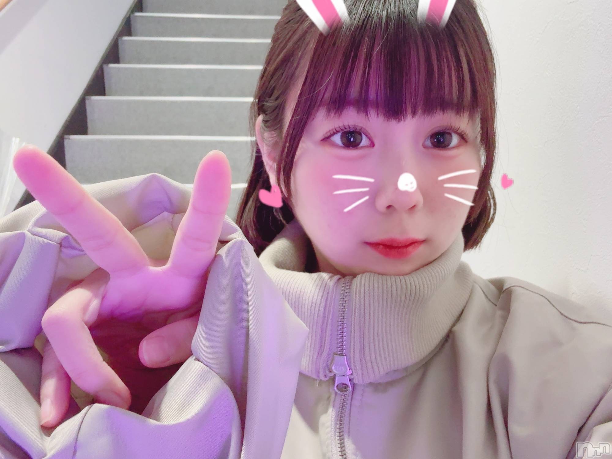 ʥå륺СLAPLUS(ץ饹) 2025ǯ1112̥֥֤ɤʹ