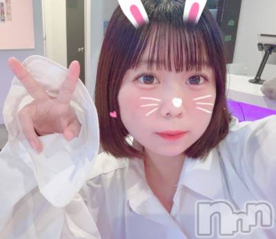 ʥå륺СLAPLUS(ץ饹) ߤ(20)122̥֥11  󤭤🥂