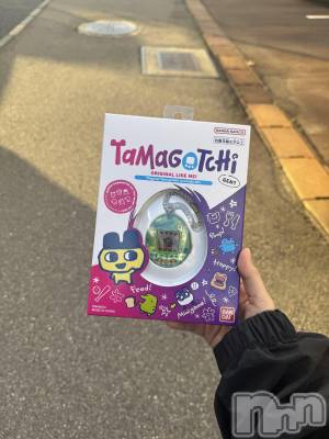 ʥå륺СLAPLUS(ץ饹) ߤ(20)124̥֥GOGOޤä