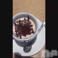 ���襤�Ρ���