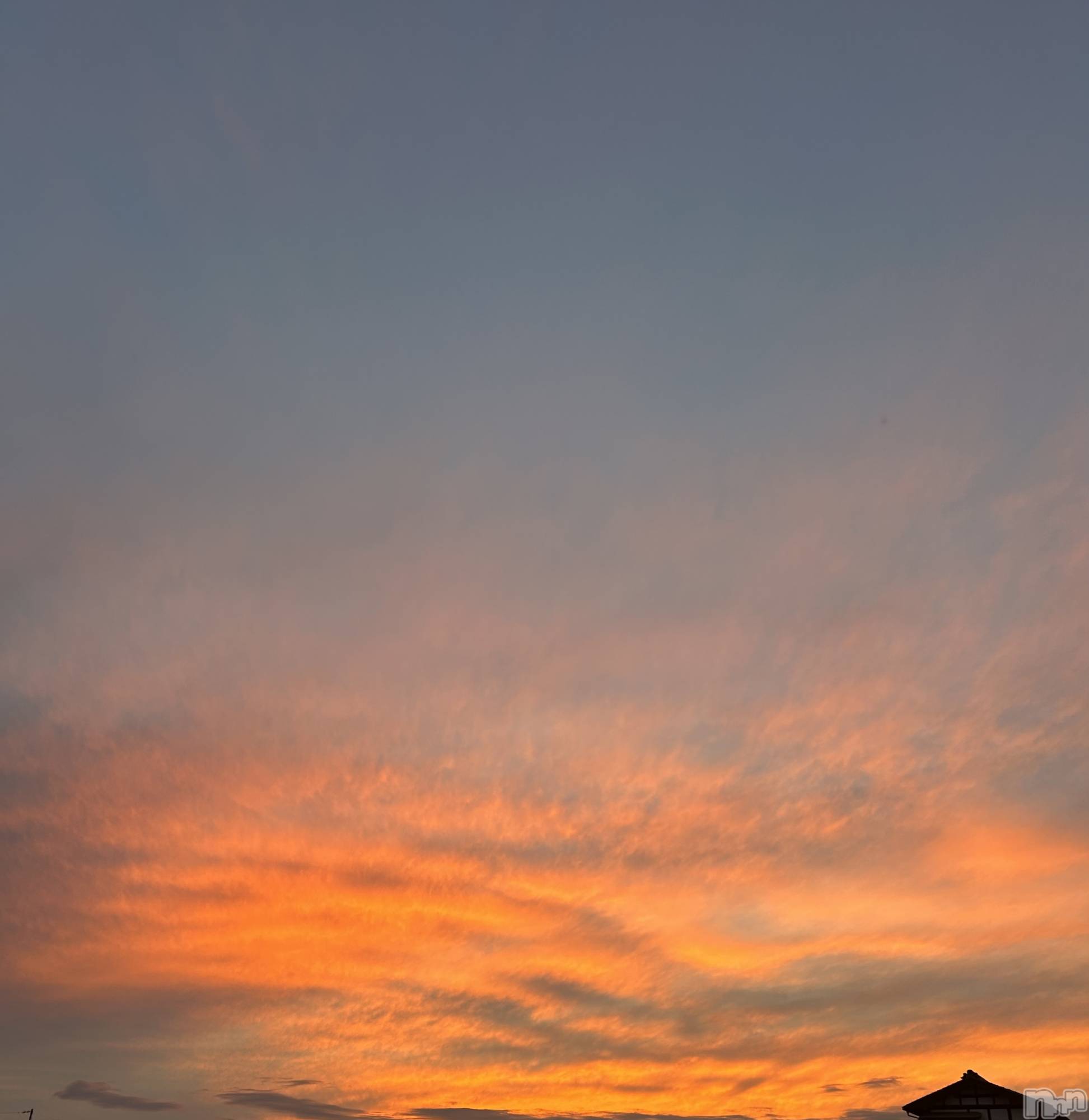 Ĺʥå륺Сѥ ¤þе-ä礤-(եѥ å祤) 2025ǯ117̥֥֤Ӥä꤯