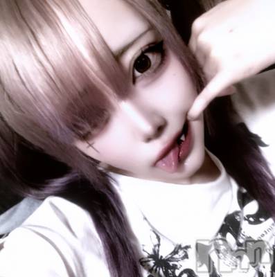 ޤ(20) Ĺ178cmĮʥå륺С concept bar Citron(󥻥ץȥСȥ)ҡ