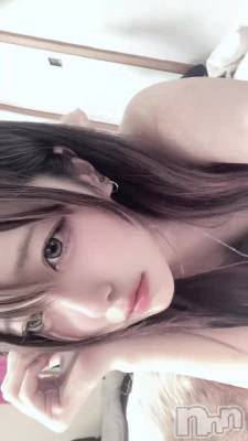 731 1626ʬư
