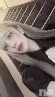 103 0825ʬư