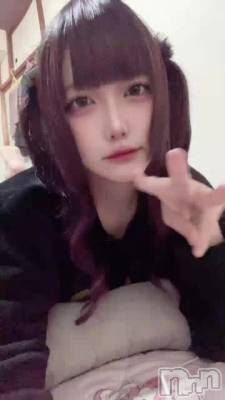 12��2�� 00��44ʬ��ư��