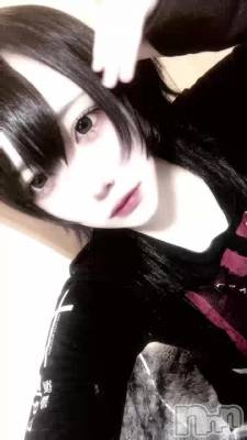 3��12�� 08��37ʬ��ư��