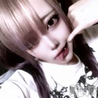 ޤ(20) Ĺ178cmĮʥå륺С concept bar Citron(󥻥ץȥСȥ)ҡ