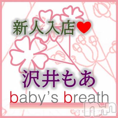 ⤢ڿ͡(ҥߥ) Ĺҥߥġ㡦ȯĥꥢ󥺥 baby's breath(٥ӡ ֥쥹)ҡ