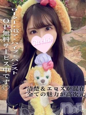 ひなこ(22) 身長157cm、スリーサイズB85(D).W56.H86。長岡デリヘル ROOKIE(ルーキー)在籍。