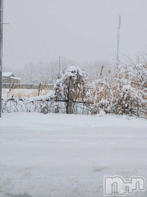 新潟デリヘル奥様特急 新潟店(オクサマトッキュウニイガタテン) はすみ(42)の1月2日写メブログ「こんにちは😊」