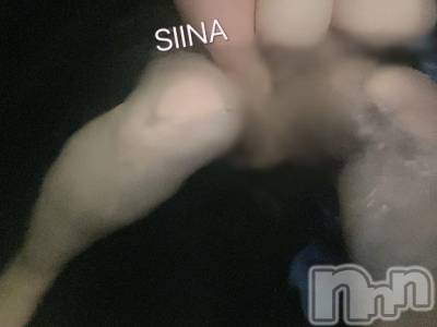 新潟デリヘル 新潟風俗Noel-ノエル-(ノエル) しいな(21)の12月25日写メブログ「公開プレー。」