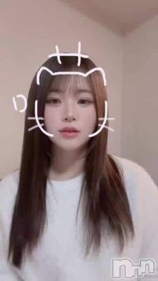 2��16�� 12��41ʬ��ư��