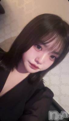 Įˤ륹ʥå륺СGIRLS BAR SHELBY(륺Сӡ)פΥ㥹ȡ֤ȡפξҲ