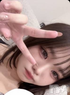 (ҥߥ) ĹҥߥġĮʥå륺С GIRLS BAR SHELBY(륺Сӡ)ҡ