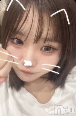 Įˤ륹ʥå륺СGIRLS BAR SHELBY(륺Сӡ)פΥ㥹ȡ֤ȡפξҲ