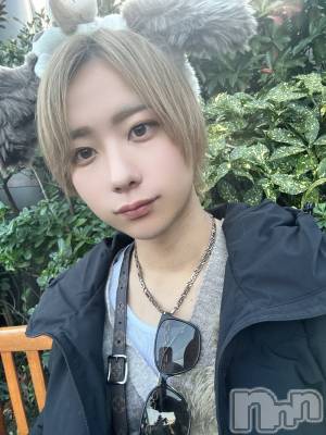 ƲåȥСBAR DIVINE(СǥХ) Ȥ(27)88ּ̥֥ʾҲ