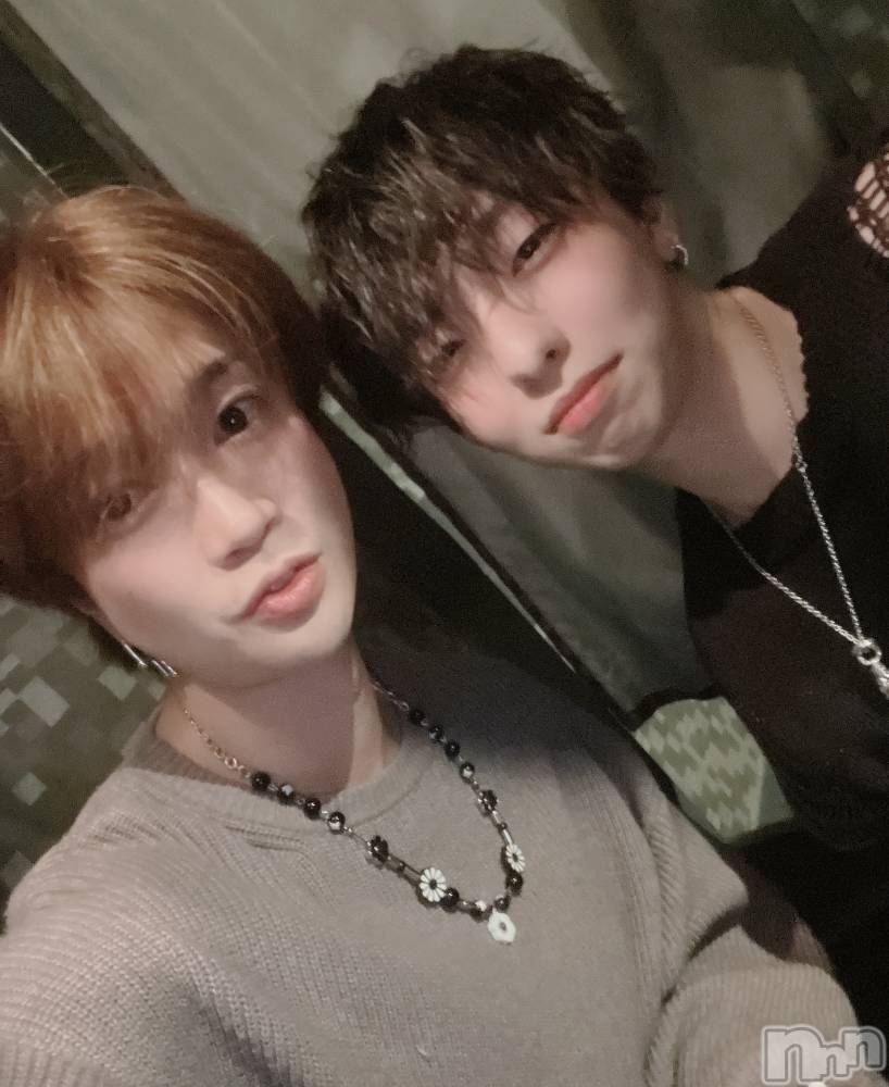 ƲåȥСBAR DIVINE(СǥХ) 1210ֻ̥֥פȷ💡