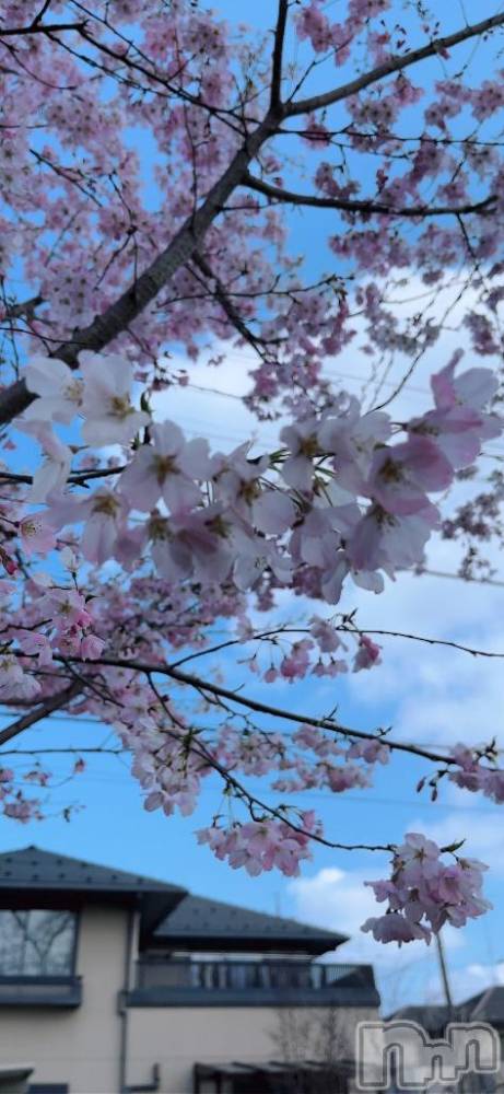 上越デリヘルHONEY(ハニー) みお(♪)(27)の4月7日写メブログ「イベント開催」