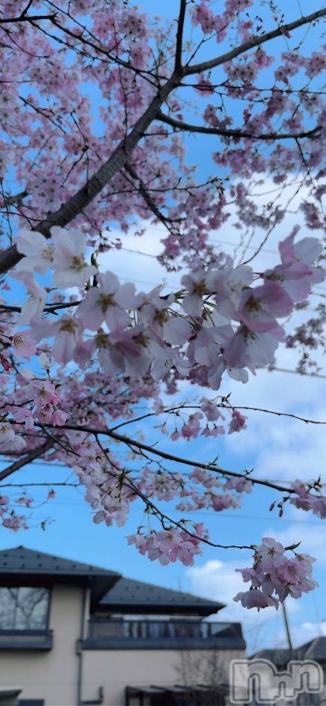 上越デリヘルHONEY(ハニー)みお(♪)(27)の2026年4月7日写メブログ「イベント開催」