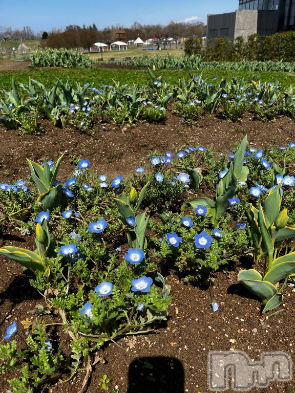 上越デリヘルHONEY(ハニー)みお(♪)(27)の2026年4月20日写メブログ「復活！」