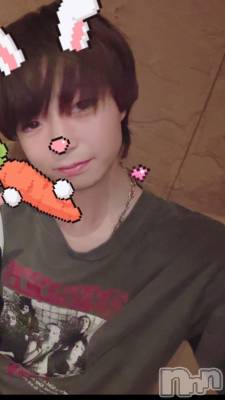 ƲåȥСBAR DIVINE(СǥХ) ʤ(20)811ֽ̥֥жС