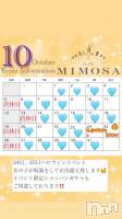 ĮХ顦CLUB MIMOSA(֥ߥ⥶) (20)930̥֥֤ԤƤޤá