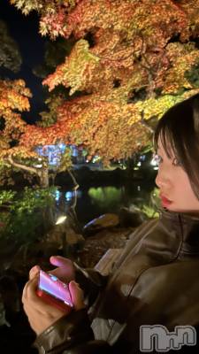 ��(20) ��Ĺ�ҥߥġ���Į����Х��顦����� CLUB MIMOSA(����֥ߥ⥶)���ҡ�