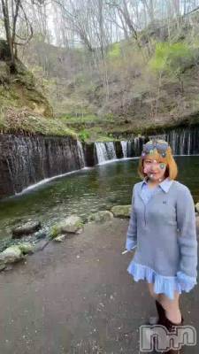 ����������ꤤ�������ޤ�