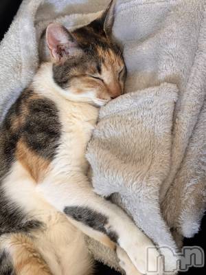 ��ë����Х��顦�����CLUB��Paladin(����֡��ѥ�ǥ���) ��� ��(25)��9��17���̥�֥�������Ĵ���ɤǤ��٤ߤǤ���_(�ߧ���_ )��