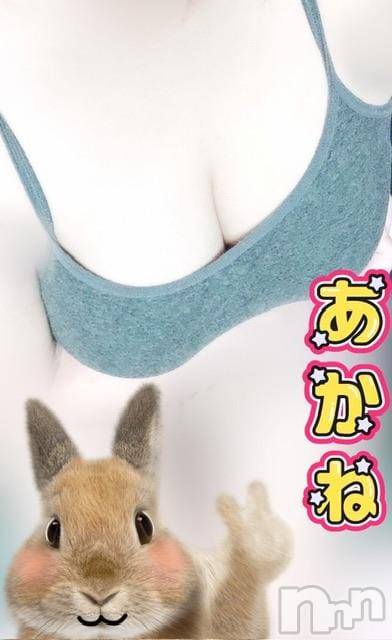 三条デリヘル新潟三条燕ちゃんこ(ニイガタサンジョウツバメチャンコ) あかね(24)の9月16日写メブログ「オッス、オラあかね」
