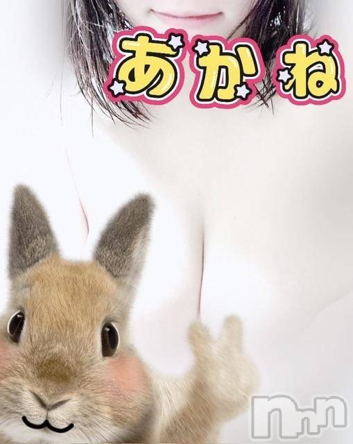 三条デリヘル新潟三条燕ちゃんこ(ニイガタサンジョウツバメチャンコ) あかね(24)の9月28日写メブログ「フローレス8号室のお兄さん」