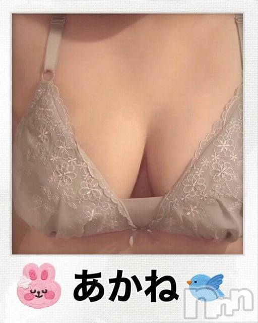 三条ぽっちゃり新潟三条燕ちゃんこ(ニイガタサンジョウツバメチャンコ)あかね(24)の2025年8月15日写メブログ「フローレス8号室の優しいお兄さん」