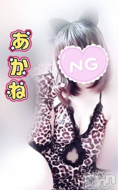 三条デリヘル新潟三条燕ちゃんこ(ニイガタサンジョウツバメチャンコ)あかね(24)の2025年11月25日写メブログ「飄々とした豹」