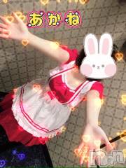 三条デリヘル新潟三条燕ちゃんこ(ニイガタサンジョウツバメチャンコ) あかね(24)の11月23日写メブログ「«٩(*´ ꒳ `*)۶»ﾜｸﾜｸ」